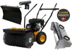 TEXAS Kehrmaschine Benzin 70 cm Laubsammler Schneeschieber Handy Sweep 710TG SET