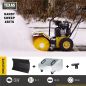 Preview: TEXAS Kehrmaschine Benzin Laubsammler Schneeschieber Handy Sweep 650TGE SET 3in1