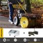 Preview: TEXAS Kehrmaschine Benzin Schneeräumer Grastrimmer Laubsammler Combi 800TG 4in1