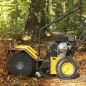 Preview: TEXAS Kehrmaschine Benzin 70 cm Laubsammler Schneeschieber Handy Sweep 710TG SET