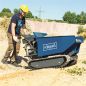 Preview: SCHEPPACH Mini Raupendumper DP5000 Benzin Dumper Motorschubkarre 500kg 6,5PS 
