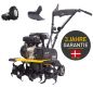 Preview: TEXAS Benzin Gartenfräse Motorhacke Bodenhacke Lilli 365TG Set mit Pflug + Räder 