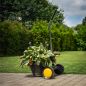 Preview: TEXAS Gartenwagen Kübelkarre Transportkarre Blumenkübel bis 75cm 60kg Tragkraft 