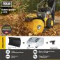 Preview: Texas Kehrmaschine Benzin Laubsammler Schneeräumer 60cm Handy Sweep 619TG 3in1 inkl. Kehrbesen Schneeschild Sammelbehälter LED-Leuchte