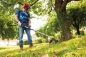 Preview: Scheppach 4in1 Benzin Gartenpflegeset Heckenschere Trimmer Rucksack MFH5300-4BP 