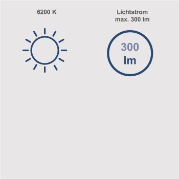 Scheppach Akku Arbeitsleuchte 20V Taschenlampe Werkstattleuchte C-WL20-X o. Akku 