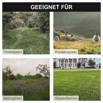 Scheppach Wiesenmäher Hochgrasmäher Rasenmäher Benzin 56cm 4,1 PS HMP161-56B 