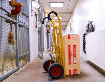 RAVENDO Sackkarre CLM 250 Ergo PU – 250 kg Transportkarre mit PU-Rädern 