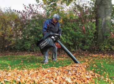 Scheppach LBH2600P Benzin Laubbläser Laubsauger Sauger Bläser  
