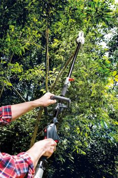 SCHEPPACH 4in1 Gartenpflegeset Benzin Heckenschere Entaster Trimmer MFH3300-4P