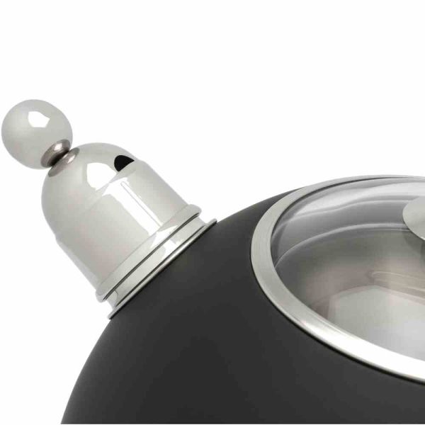 BREDEMEIJER Flötenkessel schwarz matt 2,5 l 23x21x23,5 cm aus Edelstahl
