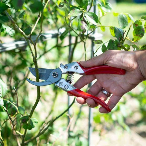 SIENA GARDEN Premium Bypassschere CG1030 antihaftbeschichtete Klingen Ast Ø 2cm