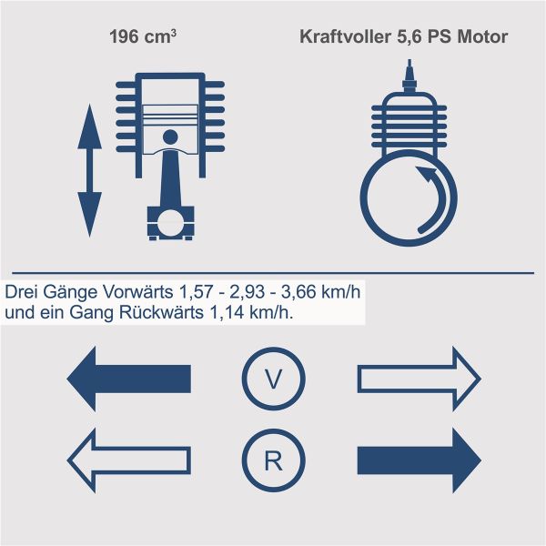 SCHEPPACH Mini Raupendumper DP5000 Benzin Dumper Motorschubkarre 500kg 6,5PS 