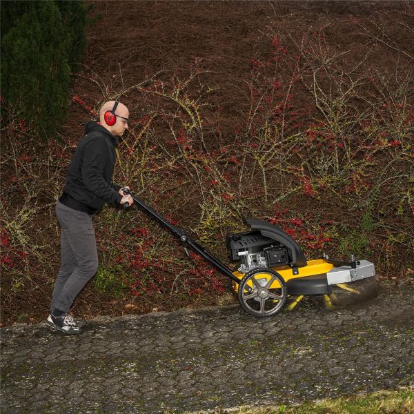 TEXAS Fugenbürste Unkrautbürste Wildkrautbürste Pflasterbürste Benzin ProWeed710
 