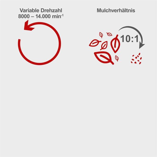 Scheppach Elektro Laubsauger Laubbläser elektrisch 230V BLV3000E 4in1 3000W 