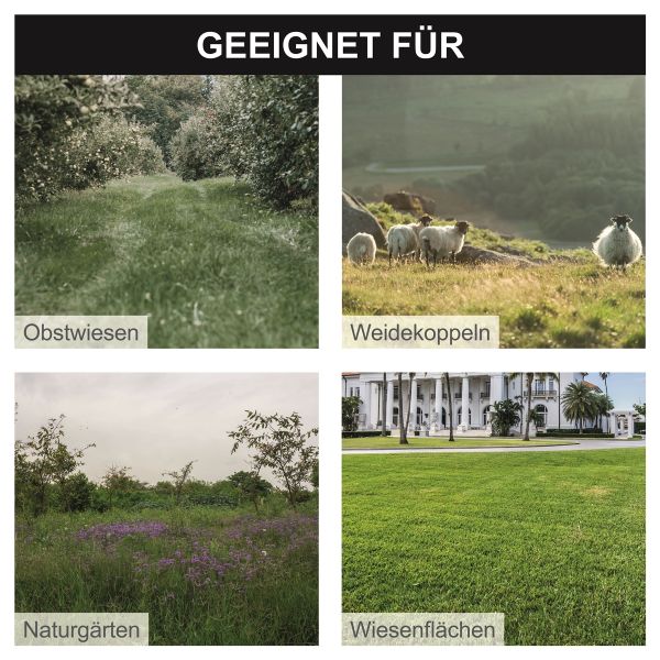 Scheppach Wiesenmäher Hochgrasmäher Rasenmäher Benzin 56cm 4,1 PS HMP161-56B 