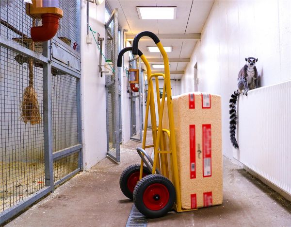 RAVENDO Sackkarre CLM 250 Ergo PU – 250 kg Transportkarre mit PU-Rädern 