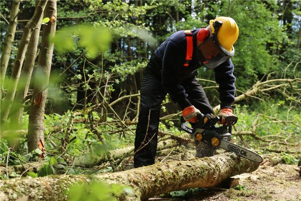 TEXAS CSX4000 Profi Akku Kettensäge Motorsäge 40V inkl. Akku 4Ah u. Ladegerät 