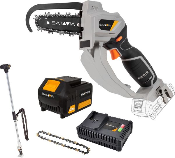 Batavia Nexxsaw V2 Set Akku Astsäge Baumsäge Kettensäge Hochentaster inkl. Zub.